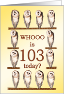 103rd Birthday, Curious Owls card
