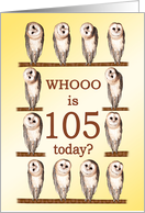 105th Birthday, Curious Owls card