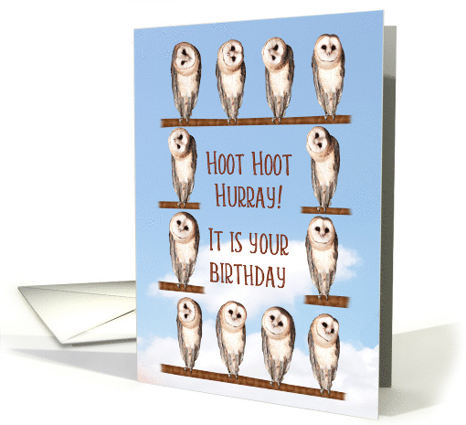 Curious owls Birthday card (938286)