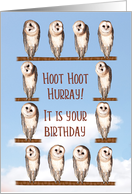 Curious owls Birthday card