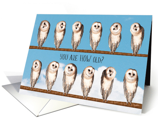 You Are HOW Old? Curious Owls Birthday card (938288)