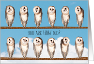 You Are HOW Old? Curious Owls Birthday card