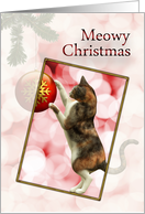 Meowy Christmas Cat card