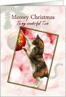 Twin Meowy Christmas Cat card