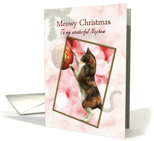 Nephew Meowy Christmas Cat card (940891)