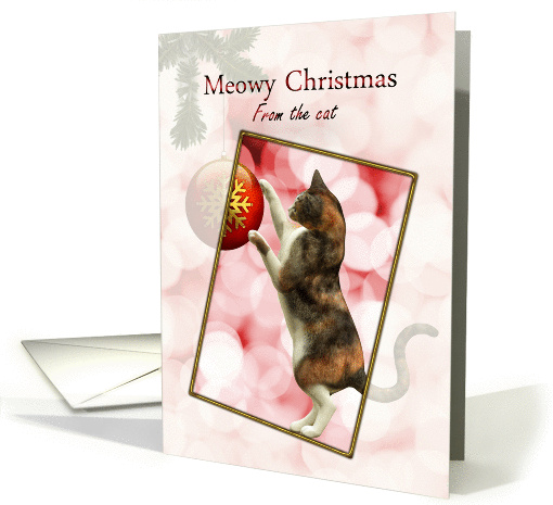 From the cat, Meowy Christmas with a playful cat. card (941133)