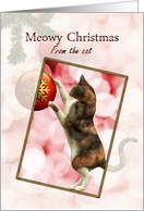 From the cat, Meowy Christmas with a playful cat. card