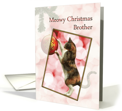 Brother, Meowy Christmas Cat card (941152)