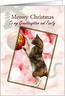 Granddaughter and Family Meowy Christmas Cat card