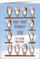 Son, Curious Owls Funny Birthday card
