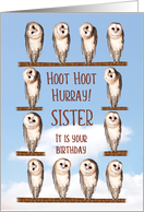 Sister, Curious Owls...
