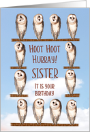 Sister, Curious Owls Funny Birthday card