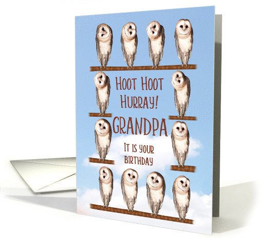 Grandpa, Curious Owls Funny Birthday card (943155)