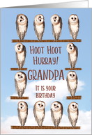 Grandpa, Curious Owls Funny Birthday card