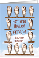 Godson, Curious Owls Funny Birthday card