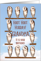 Grandma, Curious Owls Funny Birthday card