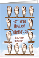 Godmother, Curious Owls Funny Birthday card