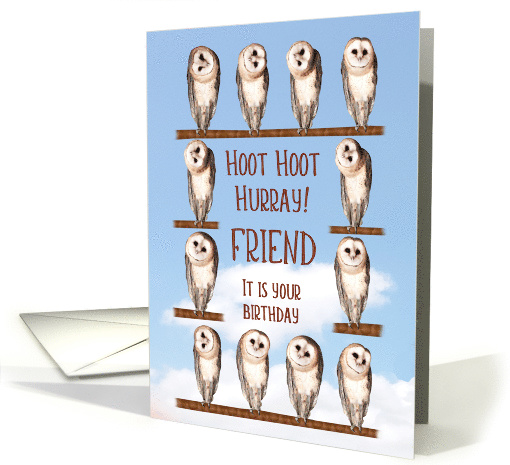 Friend, Curious Owls Funny Birthday card (943251)