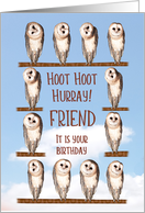 Friend, Curious Owls Funny Birthday card