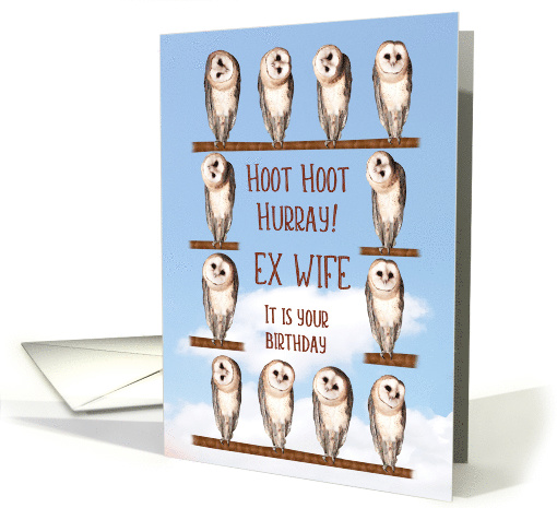 Ex-Wife, Curious Owls Funny Birthday card (943252)