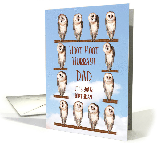 Dad, Curious Owls Funny Birthday card (943254)