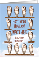 Brother, Curious Owls Funny Birthday card