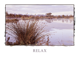 Relax, Dawn Landscape