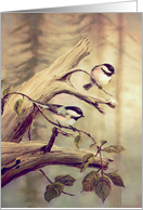 Chickadees By Sharon Sharpe card