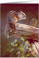 Chipmunk By Sharon Sharpe card