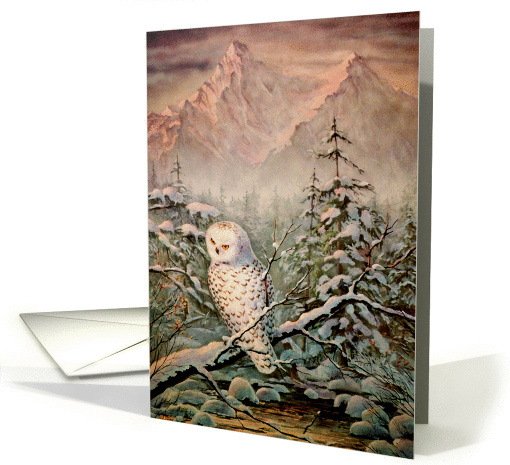 Snowy Owl By Sharon Sharpe
 card (195850)