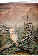 Snowy Owl By Sharon...