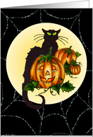 Black Cat Pumpkin Jack By Sharon Sharpe card