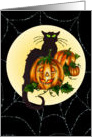 Black Cat Pumpkin Jack By Sharon Sharpe card