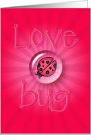 Love Bug By Sharon...