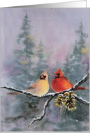 Pair Of Cardinals card
