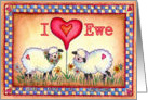 I Love Ewe Sheep card