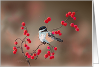 Chickadee & Red Berries card