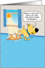 Funny Philosophical Dog Birthday, Cat in Sunshine card