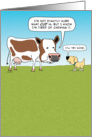 Funny Cow and Dog Birthday card