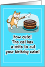 Funny Stabby Cat Birthday card