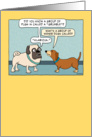 Funny Pug and Dachshund Birthday card