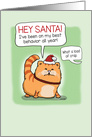 Cat Lies to Santa Claus Funny Christmas card
