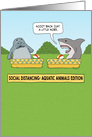 Social Distancing Manatee and Shark card