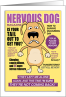 Funny Nervous Dog...