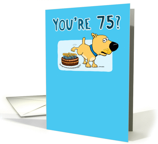 Funny 75th Birthday Card 1296286