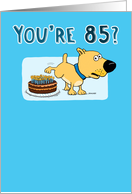 Funny 85th Birthday Card