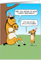 Funny Little Horse Birthday Card