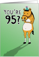 Funny 95th Birthday Card