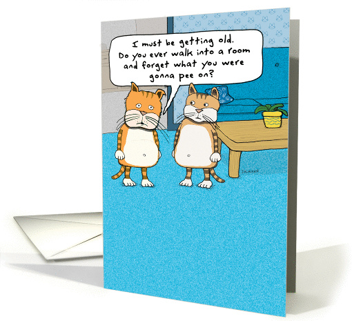 Funny Forgetful Cat Birthday card (1372722)