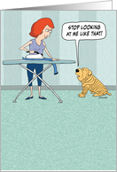 Funny Wrinkly Dog Birthday card